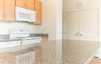 Dominium-Ashlynn Ridge-Granite Countertops